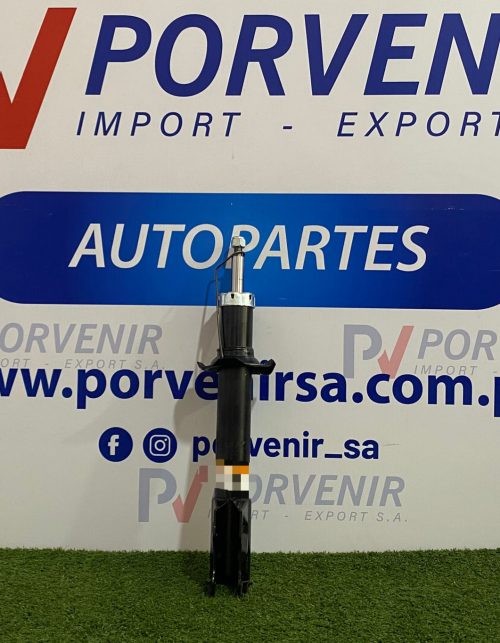 Amortiguador Delantero Toyota Passo
