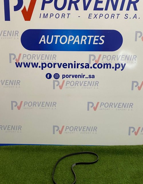 CORREA 4PK-1155 PREMIO